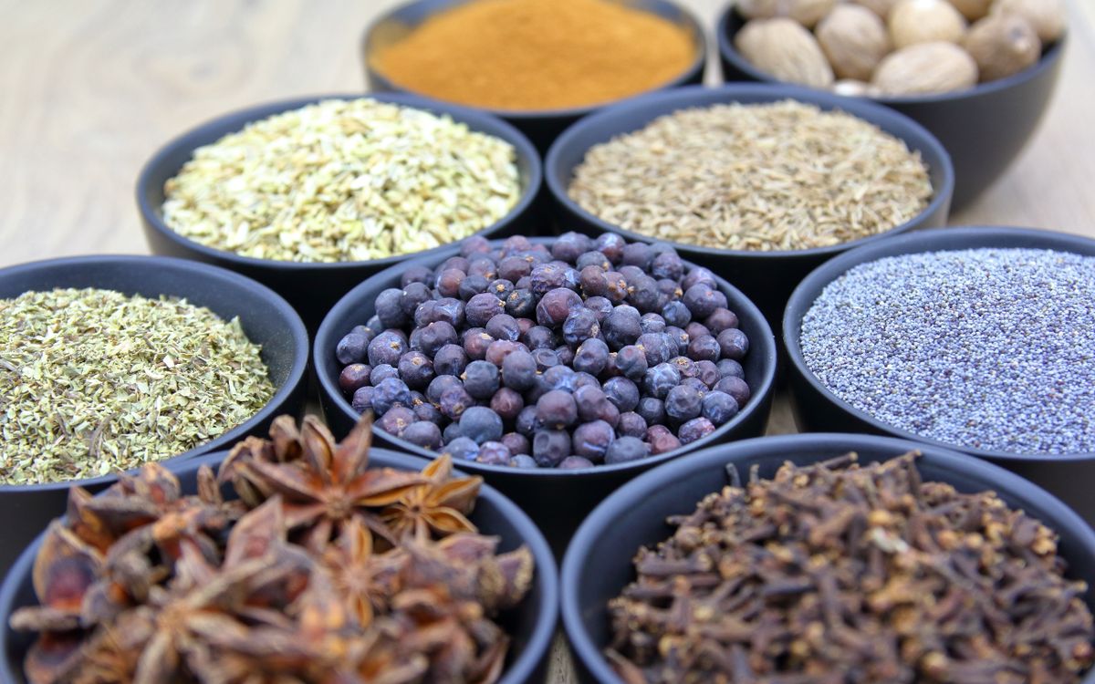 Supplier sourcing visits in India