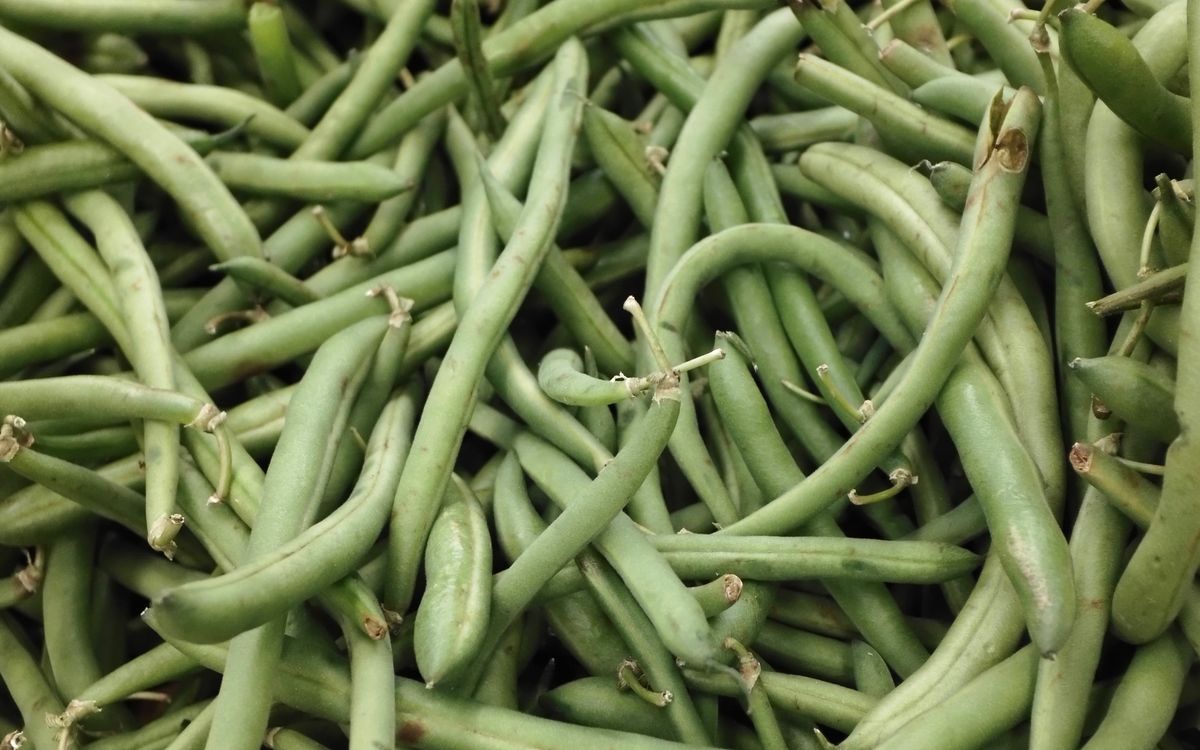 Frozen Foods exported by VELFiNE OVERSEAS